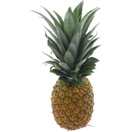 BIO ANANAS CAYENNE AVION 12KG